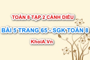 Bài 5 trang 65 Toán 8 Cánh Diều Tập 2